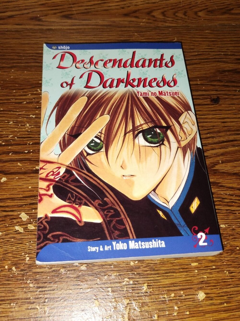Descendants of Darkness Vol. 2 Manga in English by Yoko Matsushita (Viz Media)